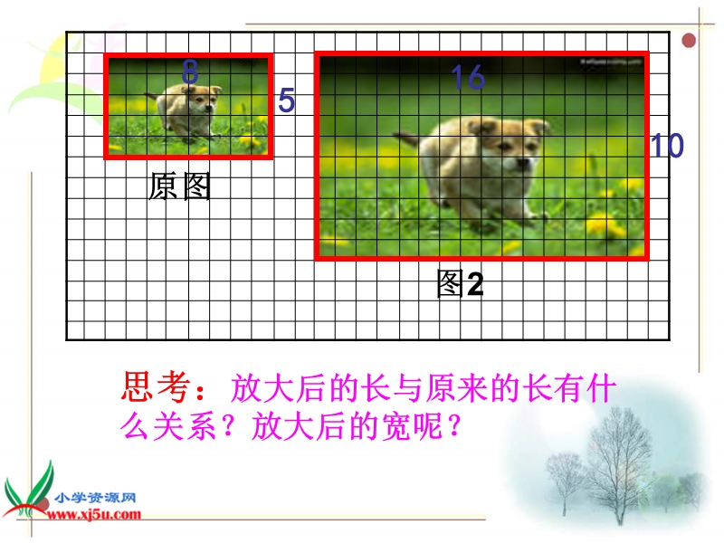 （苏教版）六年级数学下册课件 图形的大小与缩小 17.ppt_第3页