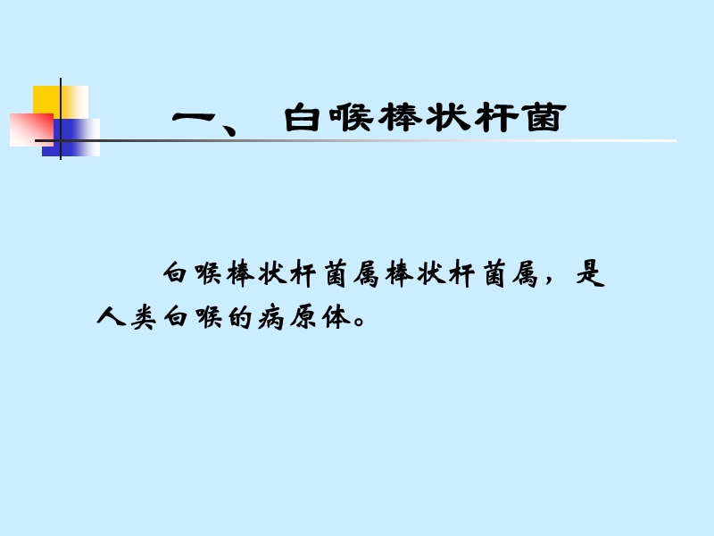 微生物_第21章_其他病原性细菌.ppt_第2页