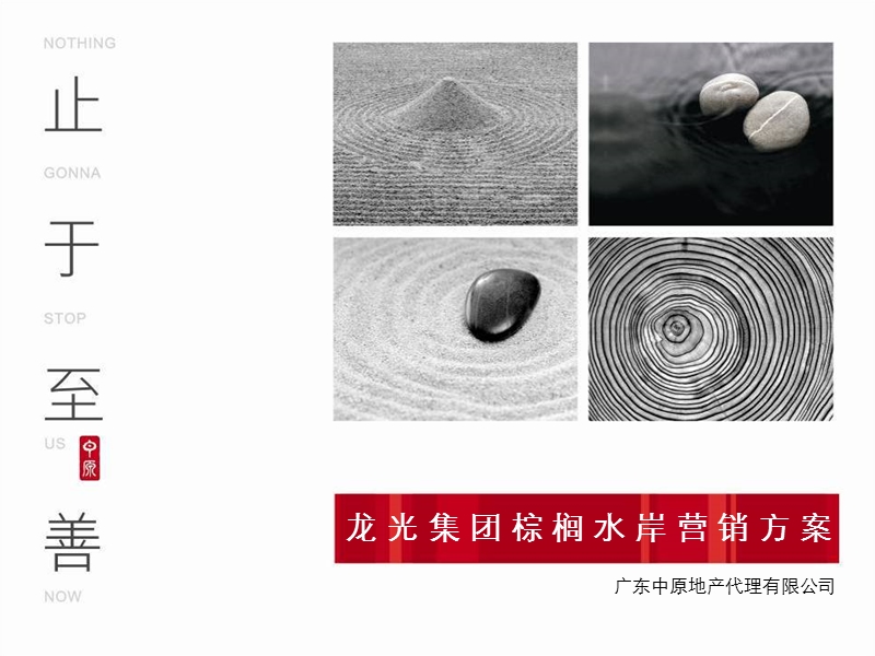 2010-广州南沙龙光集团棕榈水岸营销方案101p.ppt_第1页