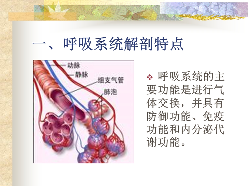 呼吸系统疾病常见症状体征的护理.ppt_第3页