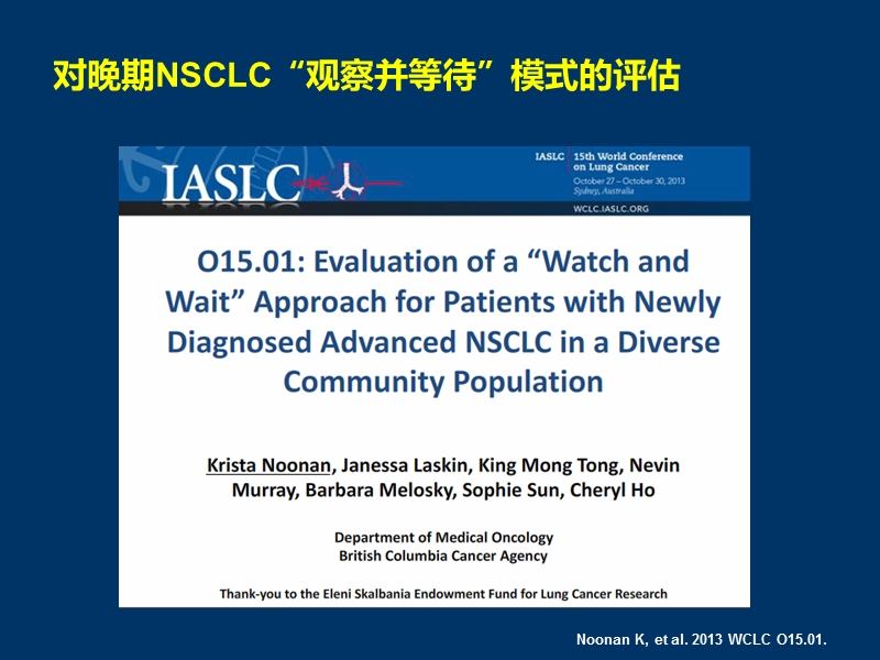 2013_wclc_nsclc_最新治疗进展.pptx_第3页