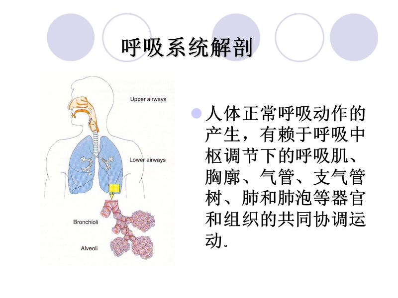 机械通气的观察及护理.ppt_第2页