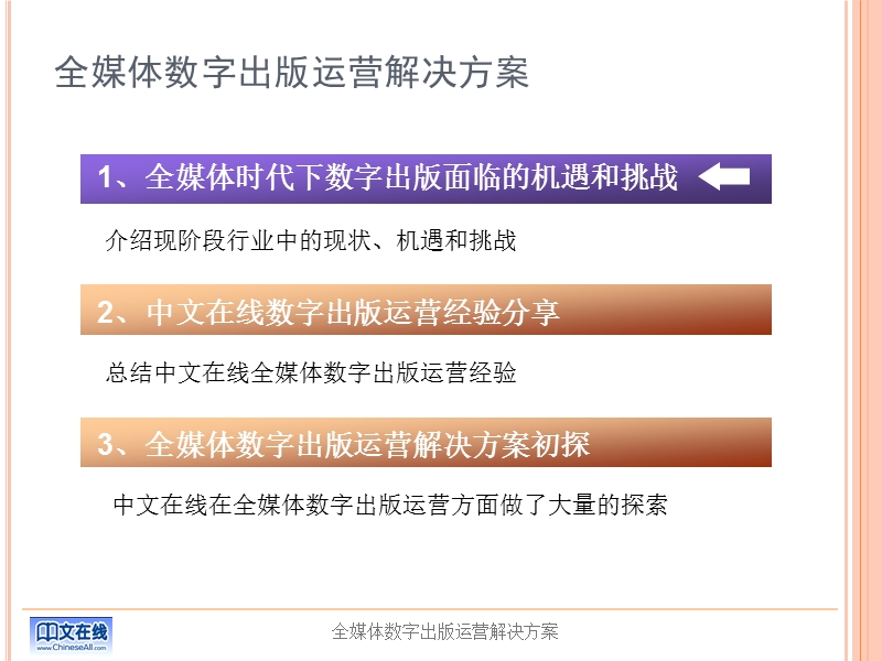 2010中文在线 全媒体数字出版运营解决方案.ppt_第2页