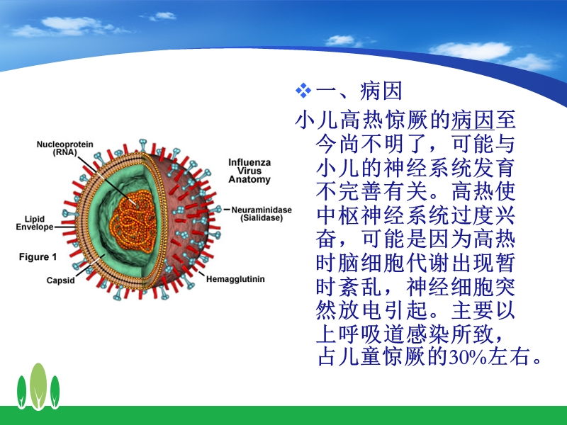 小儿高热惊厥的急救与护理.ppt_第3页