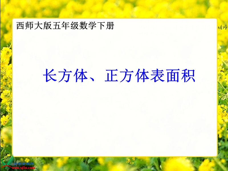 （西师大版）五年级数学下册课件 长方体、正方体的表面积 4.ppt_第1页