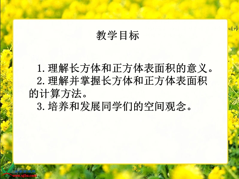 （西师大版）五年级数学下册课件 长方体、正方体的表面积 4.ppt_第2页