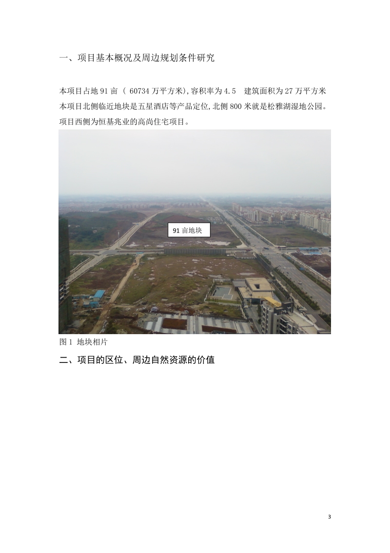 2010湖南长沙县开元东路房地产项目策划建议.doc_第3页