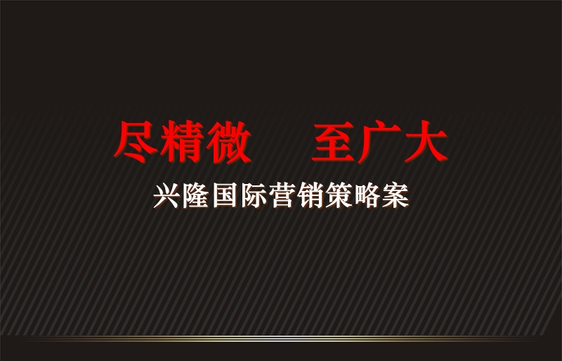 2011兴隆国际营销策略案162p.ppt_第1页