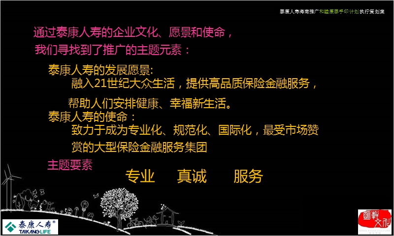 2011泰康人寿路演推广计划执行方案.ppt_第3页