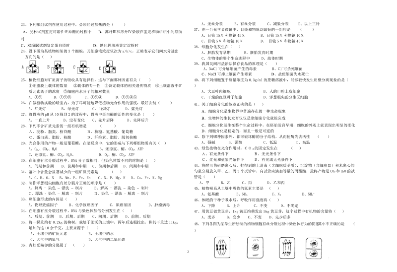 上虞中学2004学年第一学期期中试卷.doc_第2页