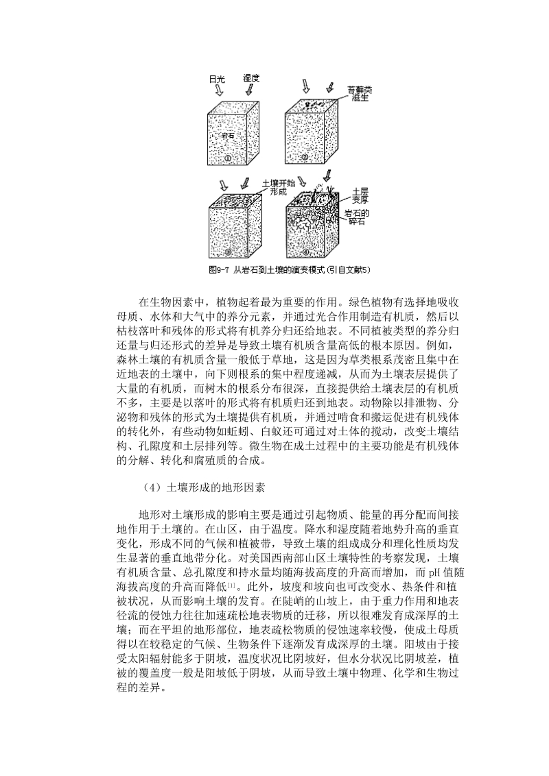 土壤的形成.doc_第3页