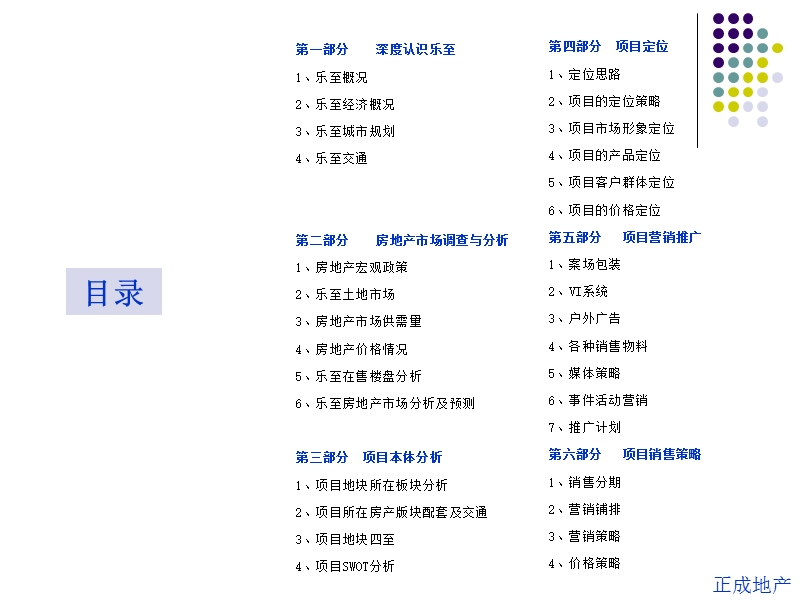 2011四川乐至乐至迎宾大道项目策划提案96p.ppt_第2页