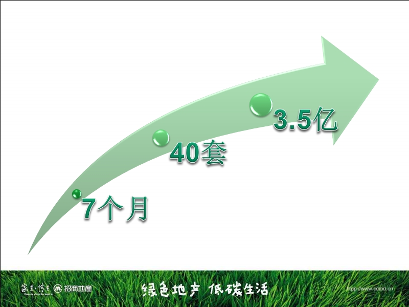 2010招商地产_南京招商依云溪谷四期独一墅营销策划.ppt_第2页