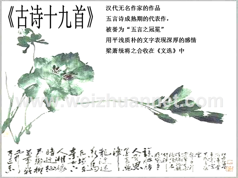 郭老师原创高一语文新人教版必修二诗三首-《涉江采芙蓉》课件.ppt_第3页