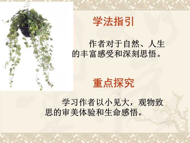 【湖南师大内部资料】高中语文必修2精美课件《囚绿记》.ppt_第3页