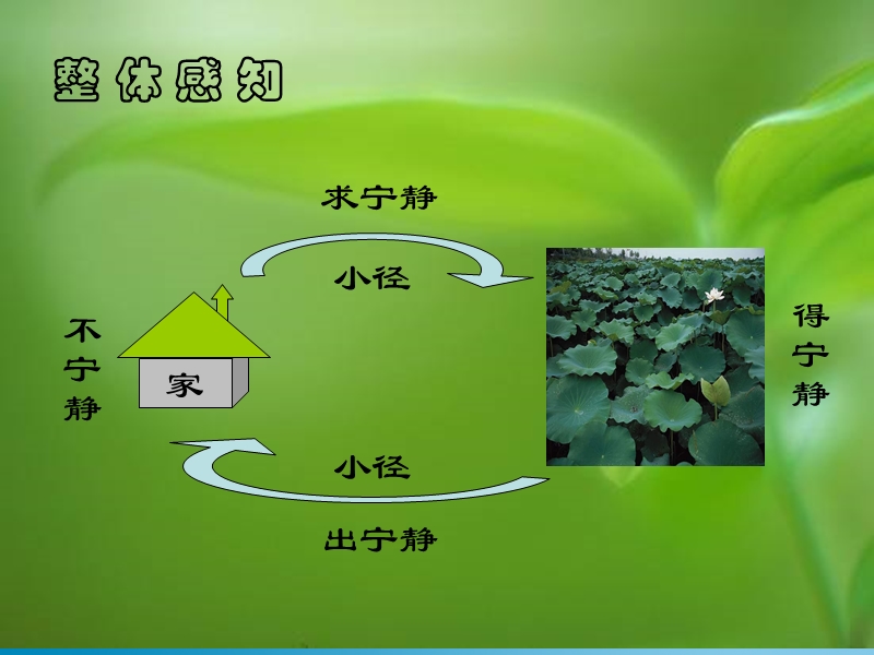 《荷塘月色》课件2（人教版必修2）.ppt_第2页