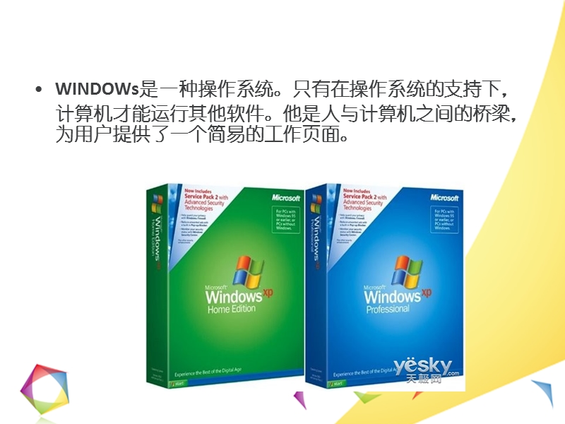 windows的发展.ppt_第2页