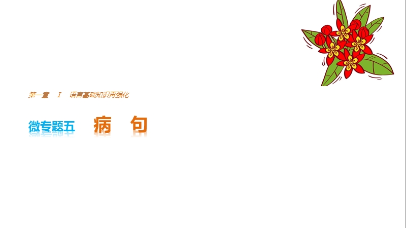 2017版浙江考前三个月高考语文考前回扣课件：第一章 核心知识再强化ⅰ 微专题五.ppt_第1页