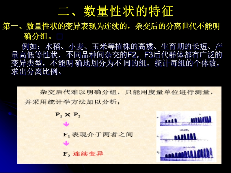 数量性状遗传.ppt_第3页