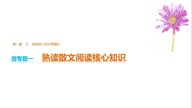 2017版浙江考前三个月高考语文考前回扣课件：第一章 核心知识再强化ⅱ 微专题一.ppt_第1页