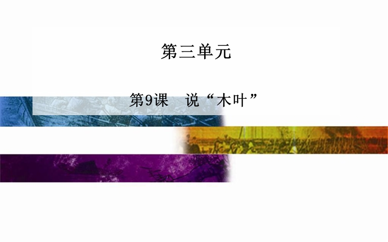 2014-2015学年高中语文二轮配套课件（人教版必修5） 第3单元 第9课 说“木叶” .ppt_第1页