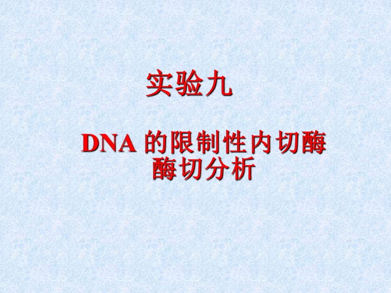 dna-的限制性内切酶酶切分析.ppt_第1页