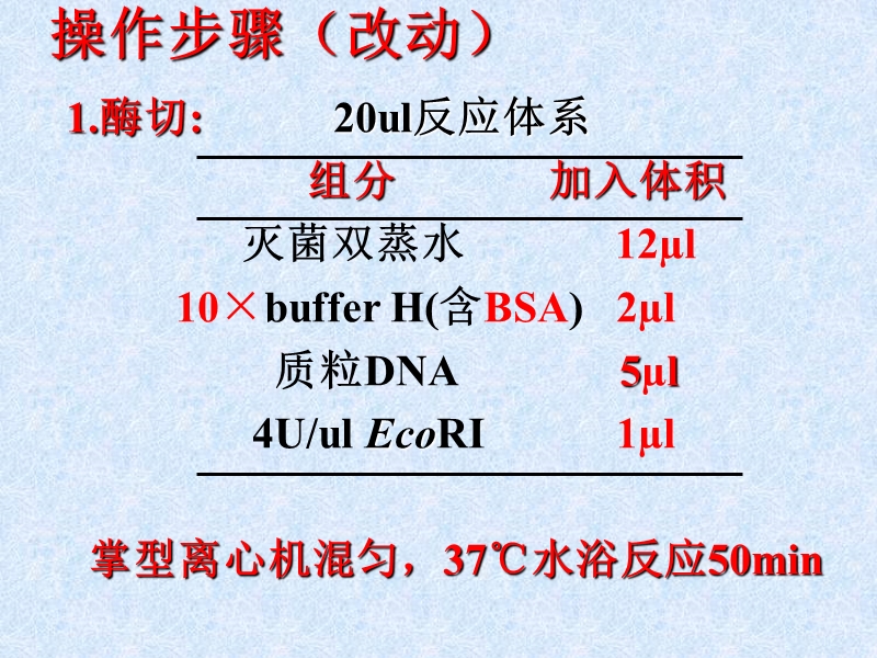 dna-的限制性内切酶酶切分析.ppt_第2页