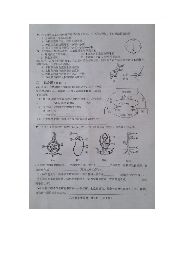 江苏省连云港市东海县2015-2016年八年级上学期期末考试生物试题（图片版）.doc_第3页