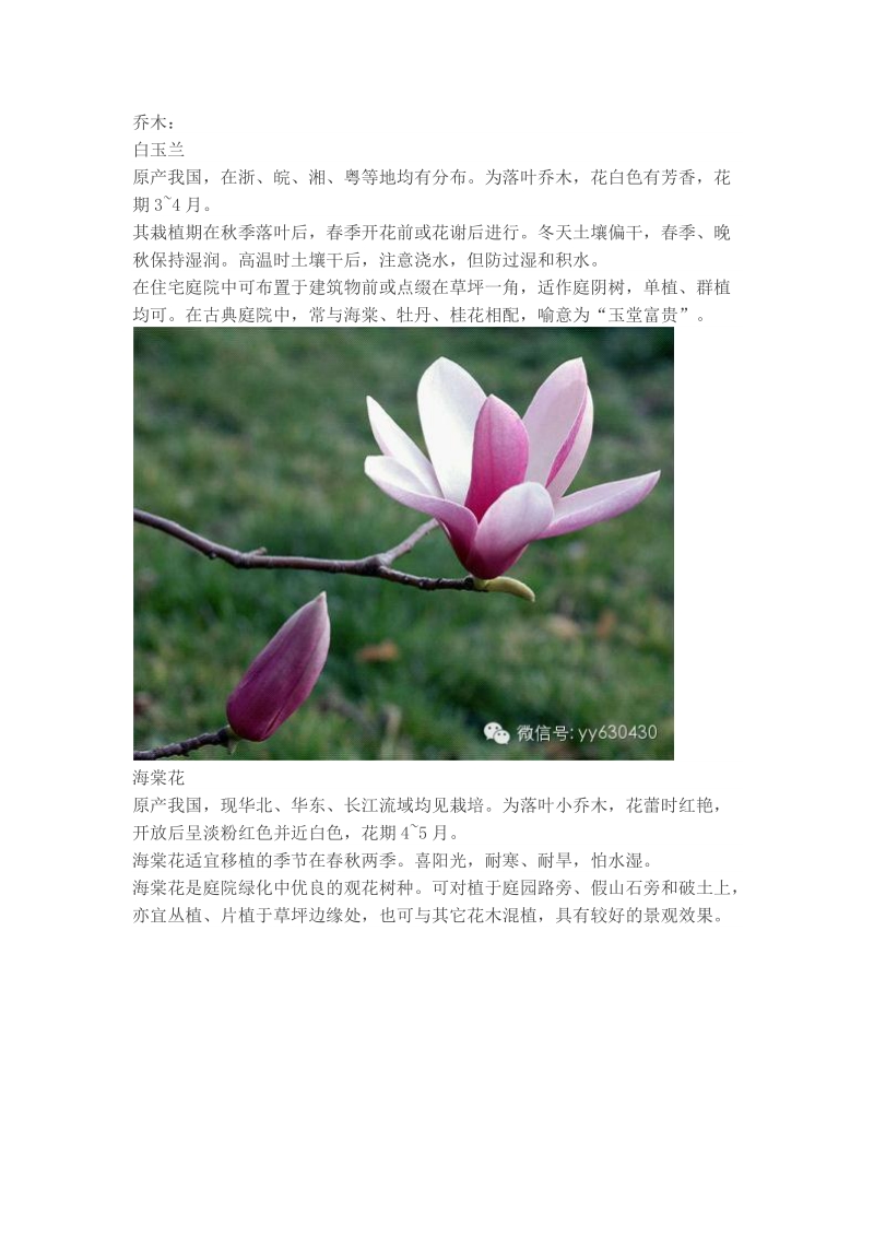 北方常用植物系列.docx_第1页