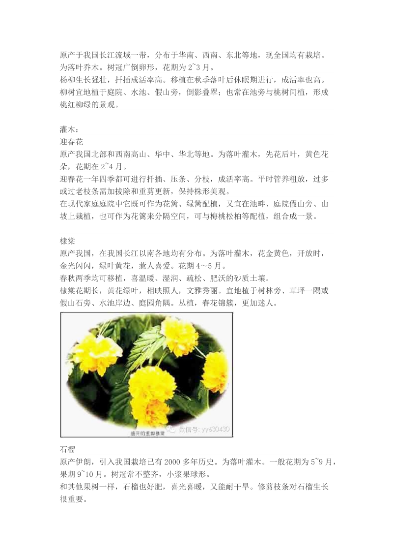 北方常用植物系列.docx_第3页