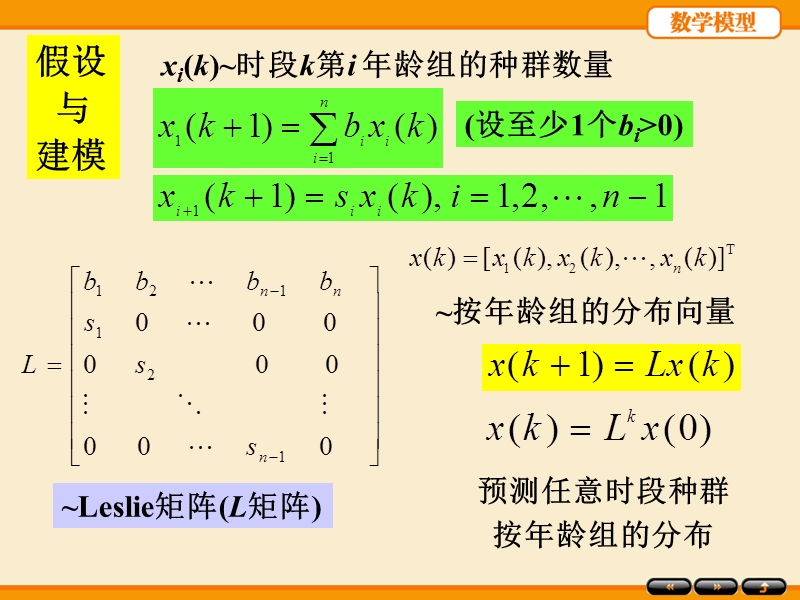 按年龄分组的人口模型.ppt_第2页