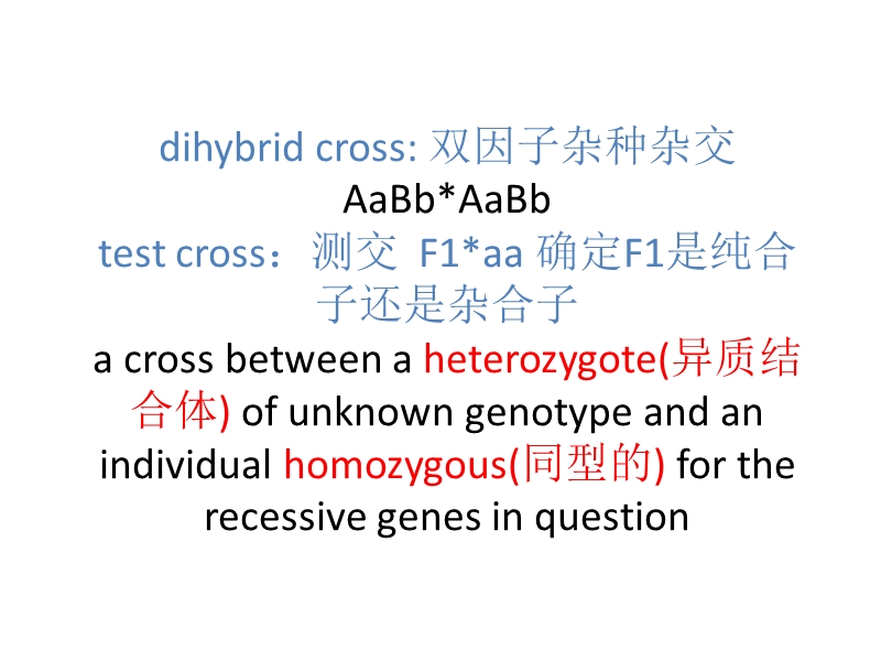 lesson-four-foundations-of-genetics.ppt_第3页