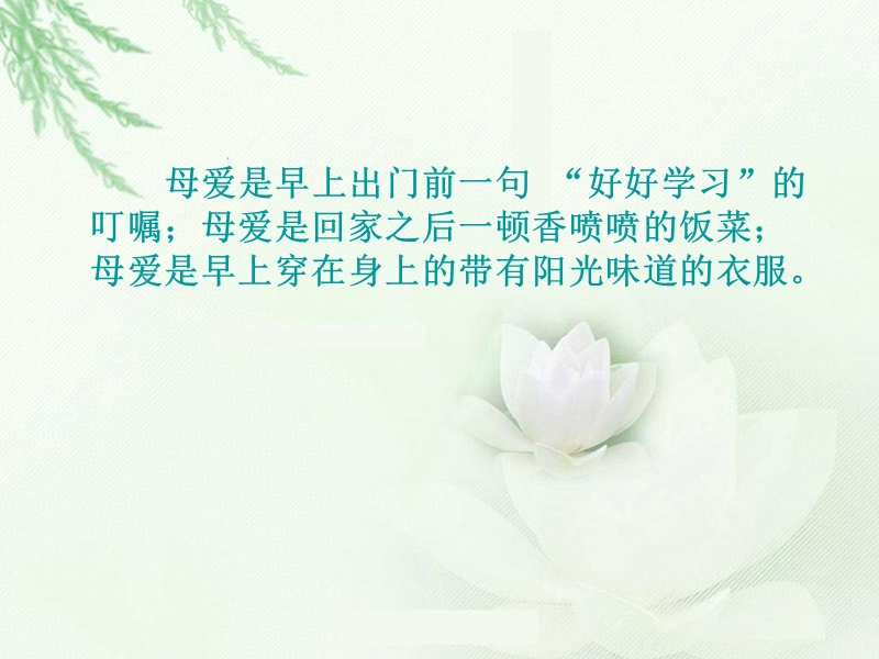 排比句 我的好朋友.ppt_第1页