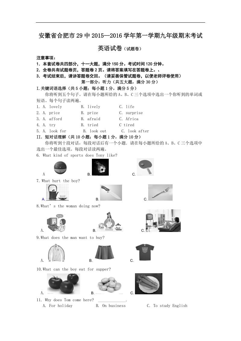 [附解析]安徽省合肥市第二十九中学2016年度九年级上学期期末考试英语试题.doc_第1页