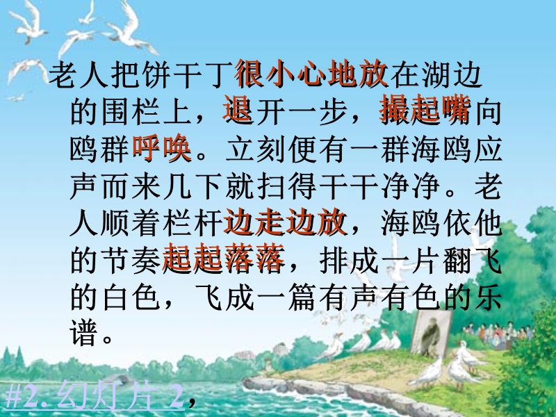 朋友告诉我-十多年了-一到冬天-老人每天必来-和海鸥就....ppt_第3页