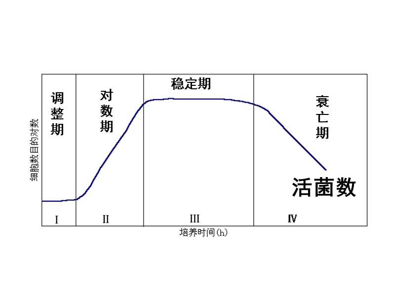 探究酵母菌种群数量变化的影响因素.ppt_第2页