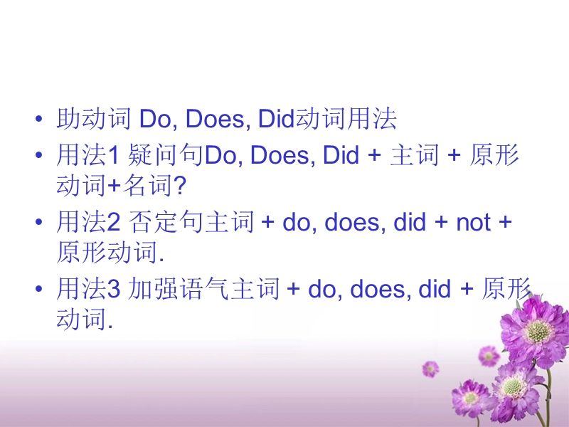 did动词用法.ppt_第2页