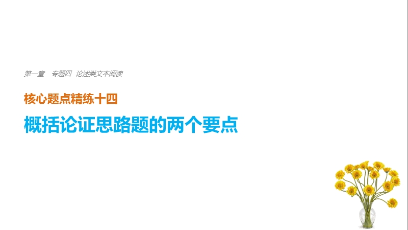 江苏省2018届高三语文 考前三个月核心题点精练 课件：第一章 专题四 论述类文本阅读 十四.ppt_第1页