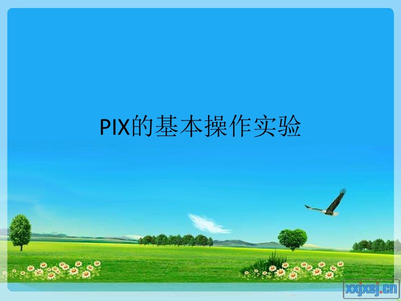 pix-试验.ppt_第1页