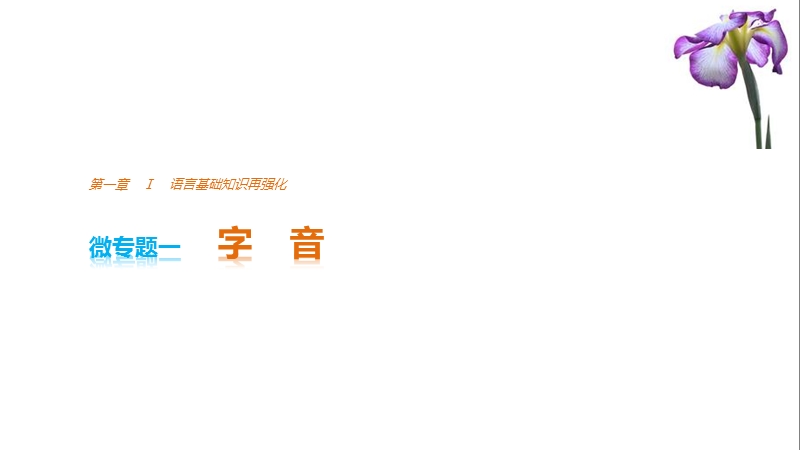 2017版浙江考前三个月高考语文考前回扣课件：第一章 核心知识再强化ⅰ 微专题一.ppt_第1页