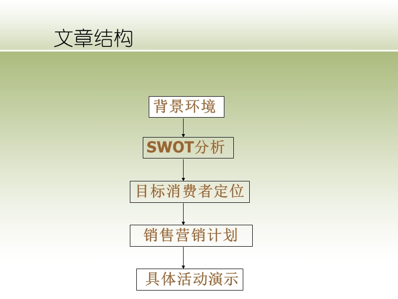 产品策划(案例).ppt_第3页