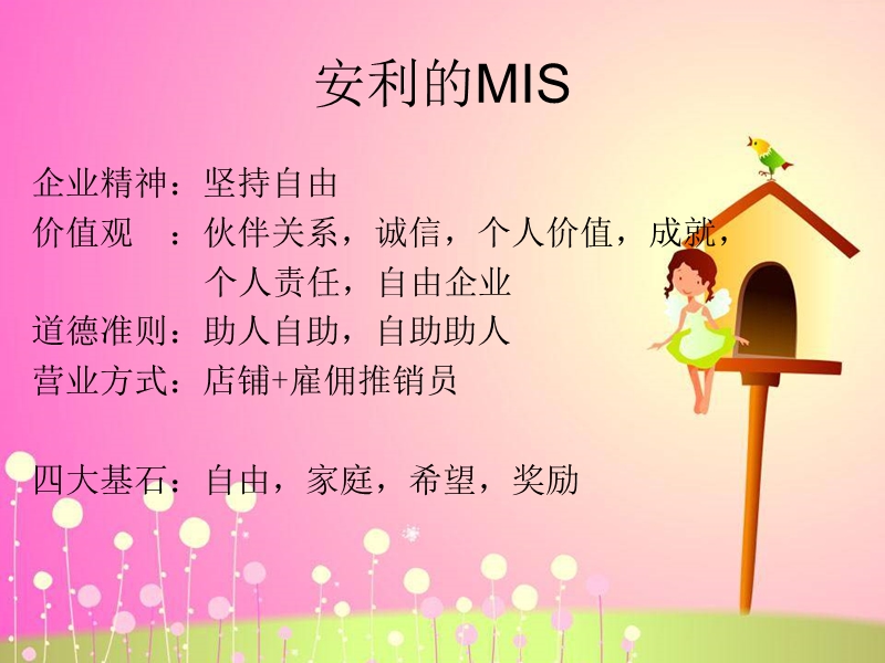 安利的mis.ppt_第1页