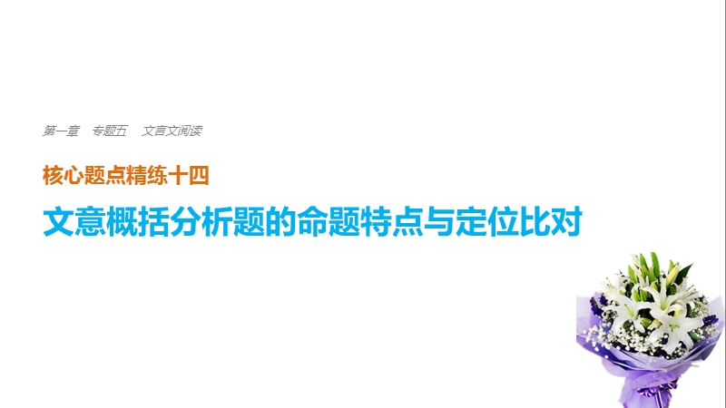 2018届高三语文（全国通用） 考前三个月核心题点精练 课件：第一章 专题五 文言文阅读 十四.ppt_第1页