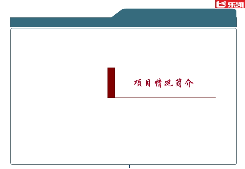 信永中和-乐凯-集团公司财务咨询项目.ppt_第2页