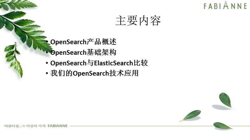 opensearch.pptx_第2页