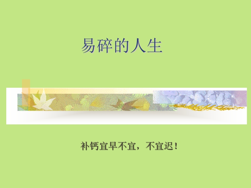 安利钙专题.ppt_第1页