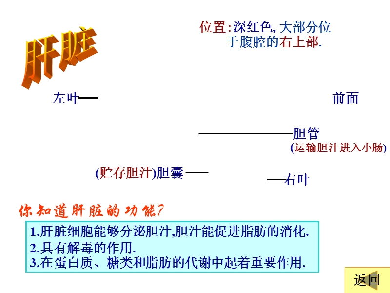 412消化和吸收上课课件.ppt_第3页