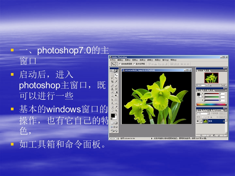 01------认识photoshop7.0.ppt_第2页