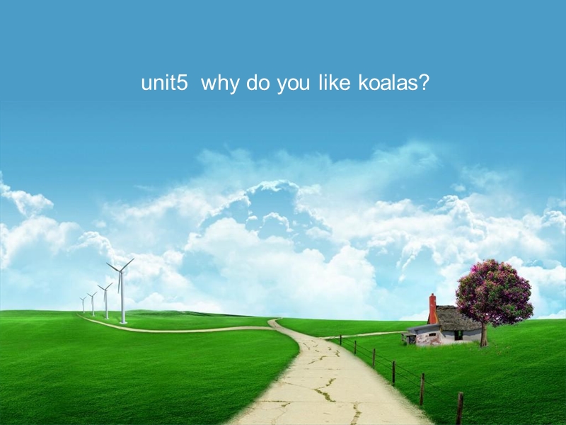 unit5why-do-you-like-koalas.ppt_第1页