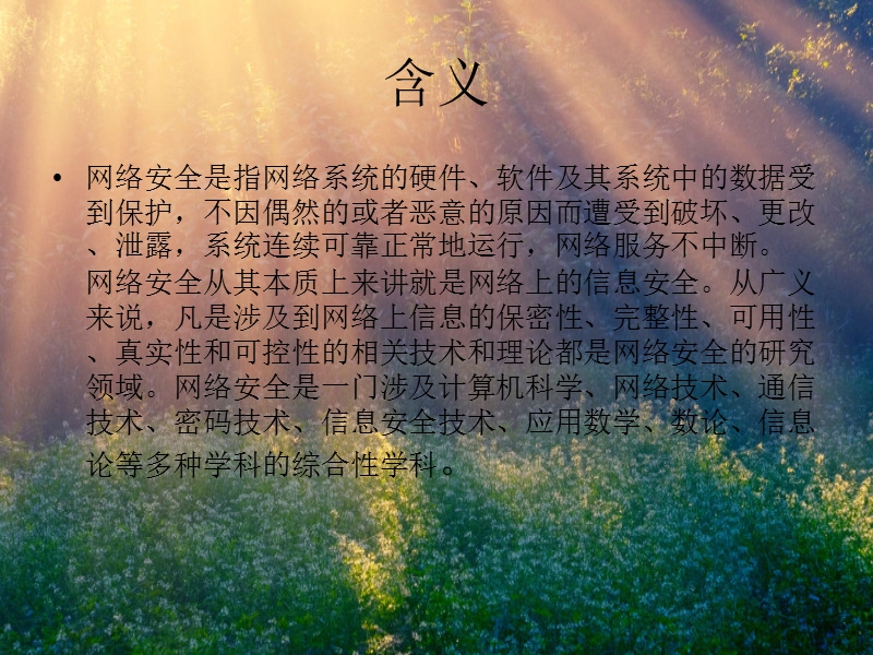 网络安全.ppt_第3页